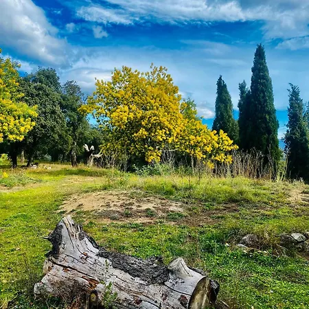 דירה Masia Mimosa Montana Darnius